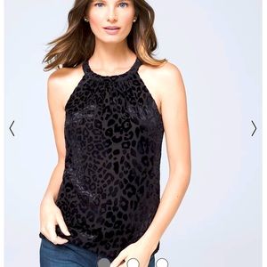 WHBM black Halter Leopard Burnout Velvet top